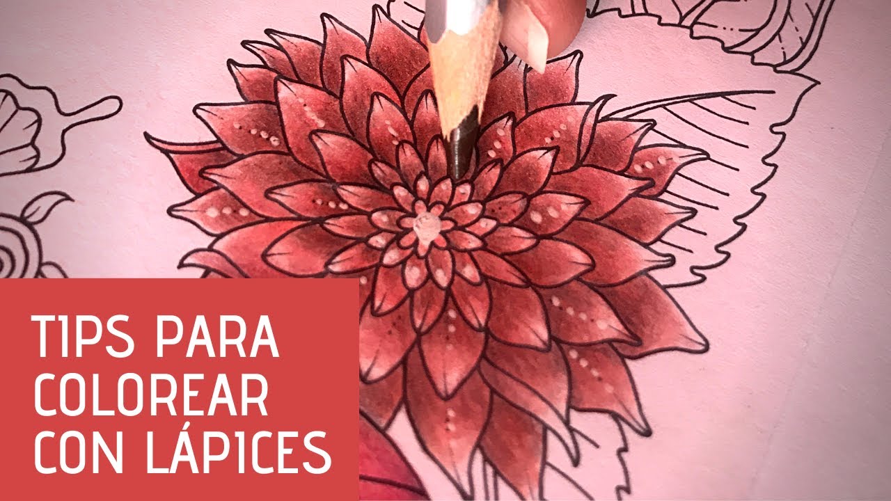 CÓMO COLOREAR CON LÁPICES DE COLORES | Tips que me funcionan
