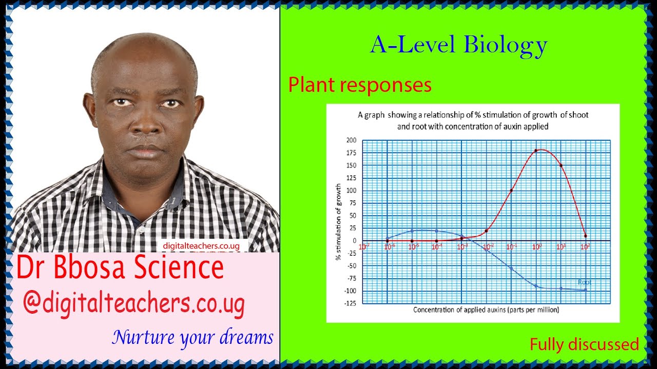 A-level biology lesson 44: Response in plants by Dr. Bbosa Science