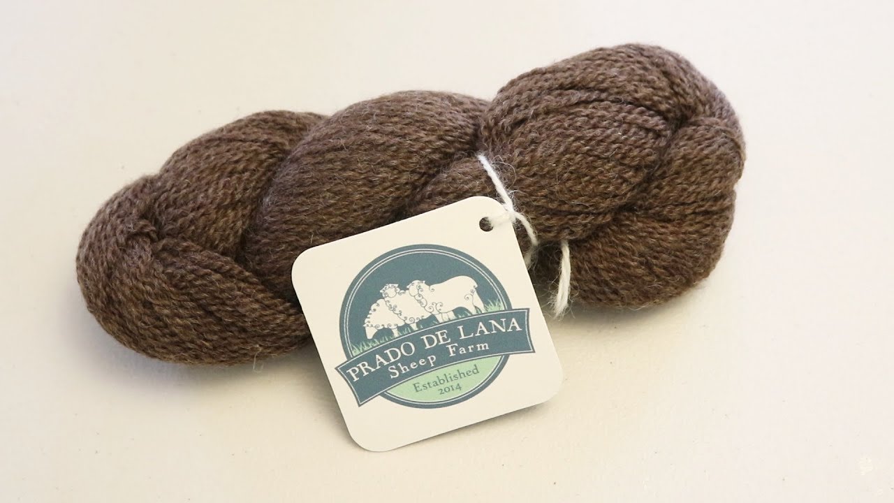 Dyepot Weekly #101 - Overdyeing a Natural Dark Brown Wool Yarn