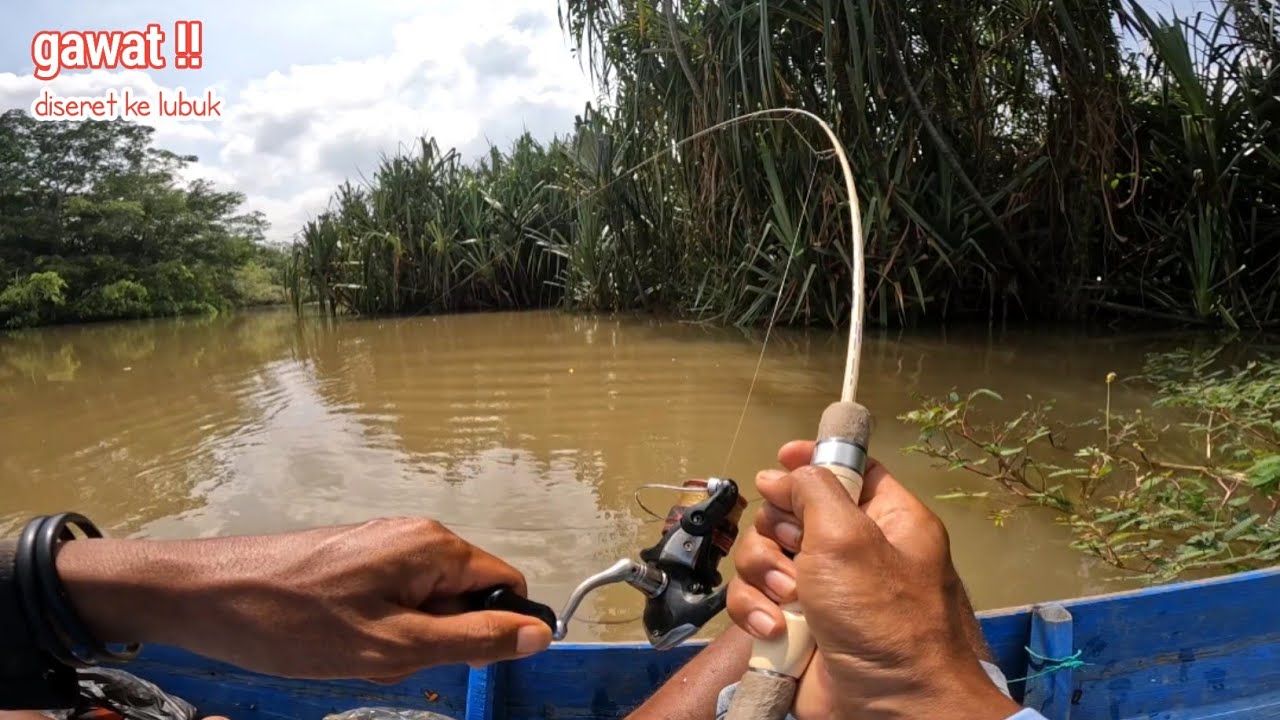 Mancing!! Luar biasa rezeki besar di sungai ini ikan masih melimpah dan terjaga 
