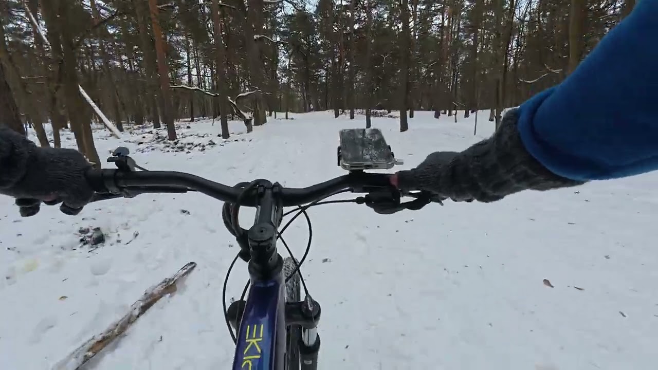 Forest? Yes, More forest