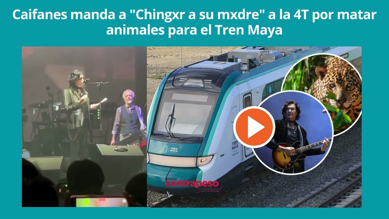 Caifanes sends Chingxr and his mother to the 4T for killing animals for the Mayan Train