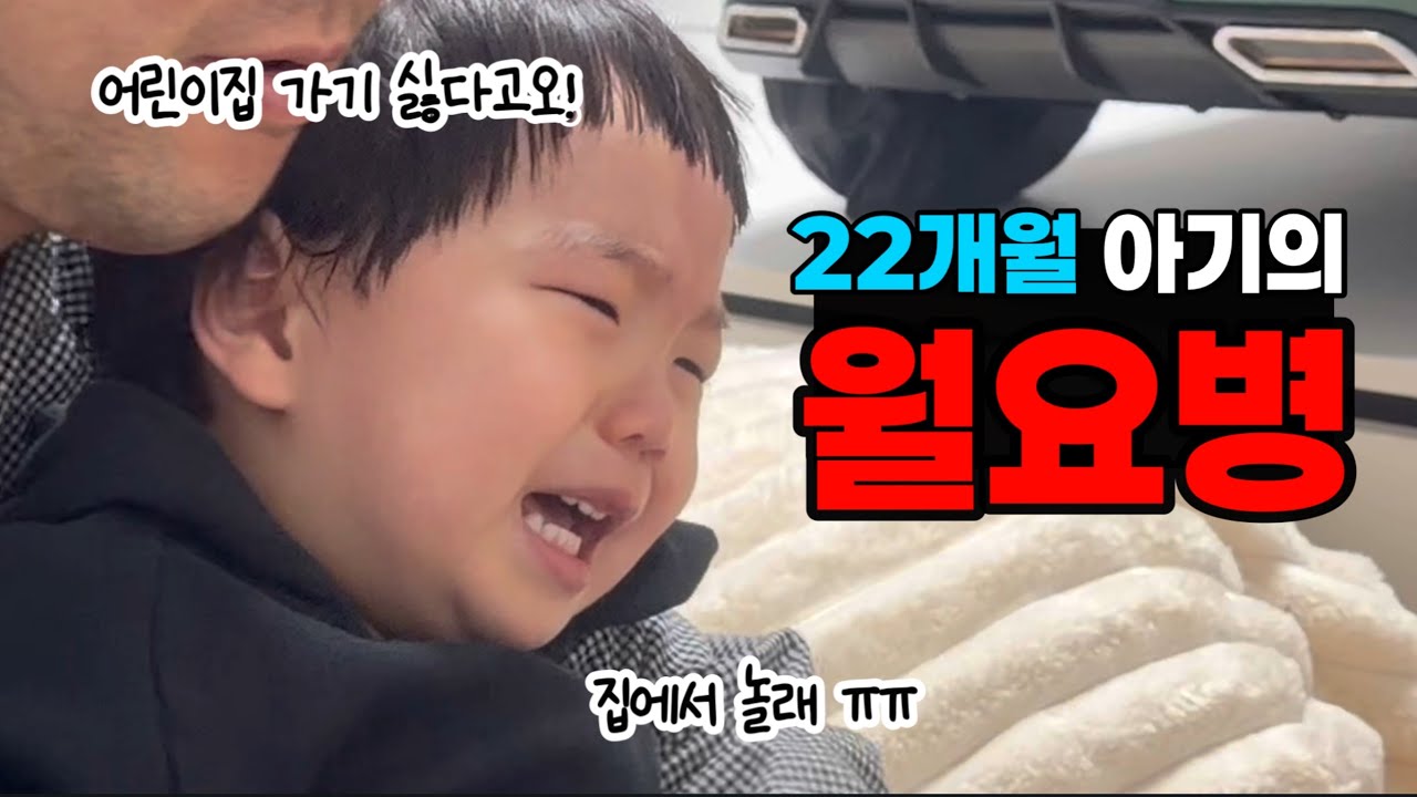 [브이로그] 나도 월요일이 싫다구요! 집에서 놀래! 월요병 걸린 준떠