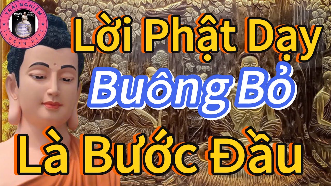 Buông Bỏ Là Bước Đầu Thức Tỉnh Trong Tâm 