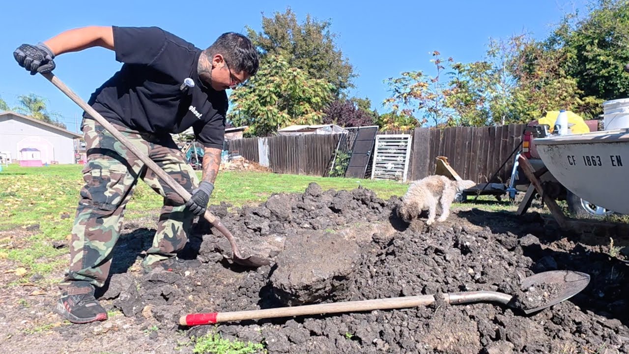 Моя собака умерла 😢