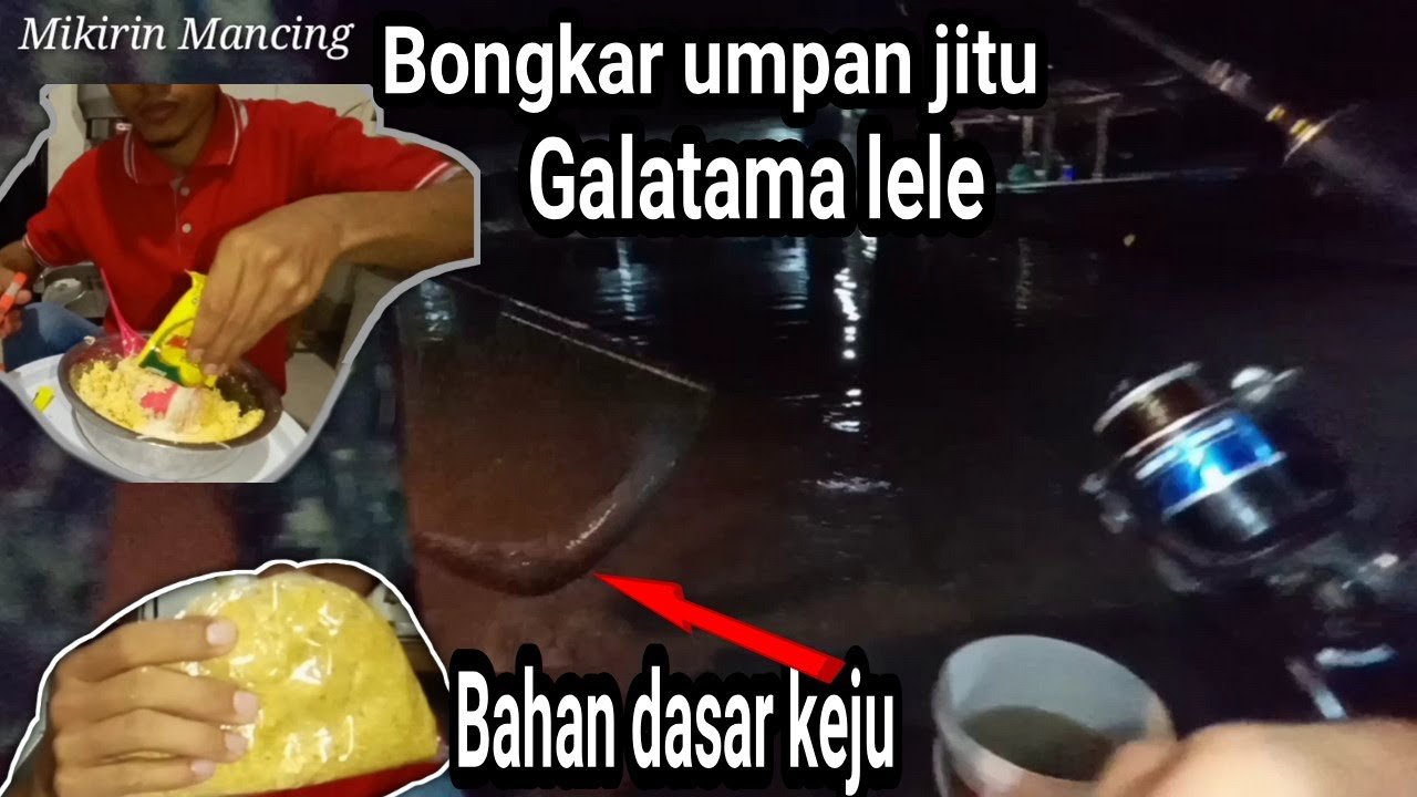 Bongkar umpan jitu galatama lele bahan dasar keju