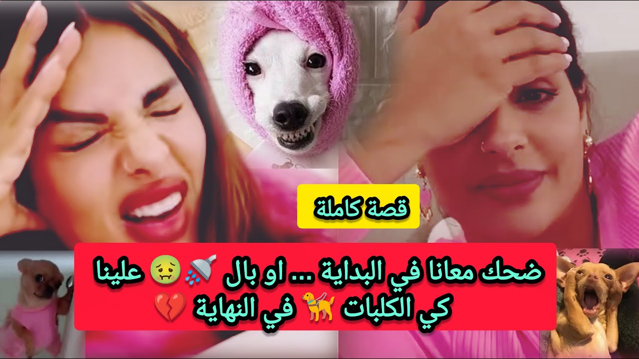 ضحك معانا في البداية....أو بال 🚿🤢 علينا كي الكلبات 🦮 في النهاية 💔