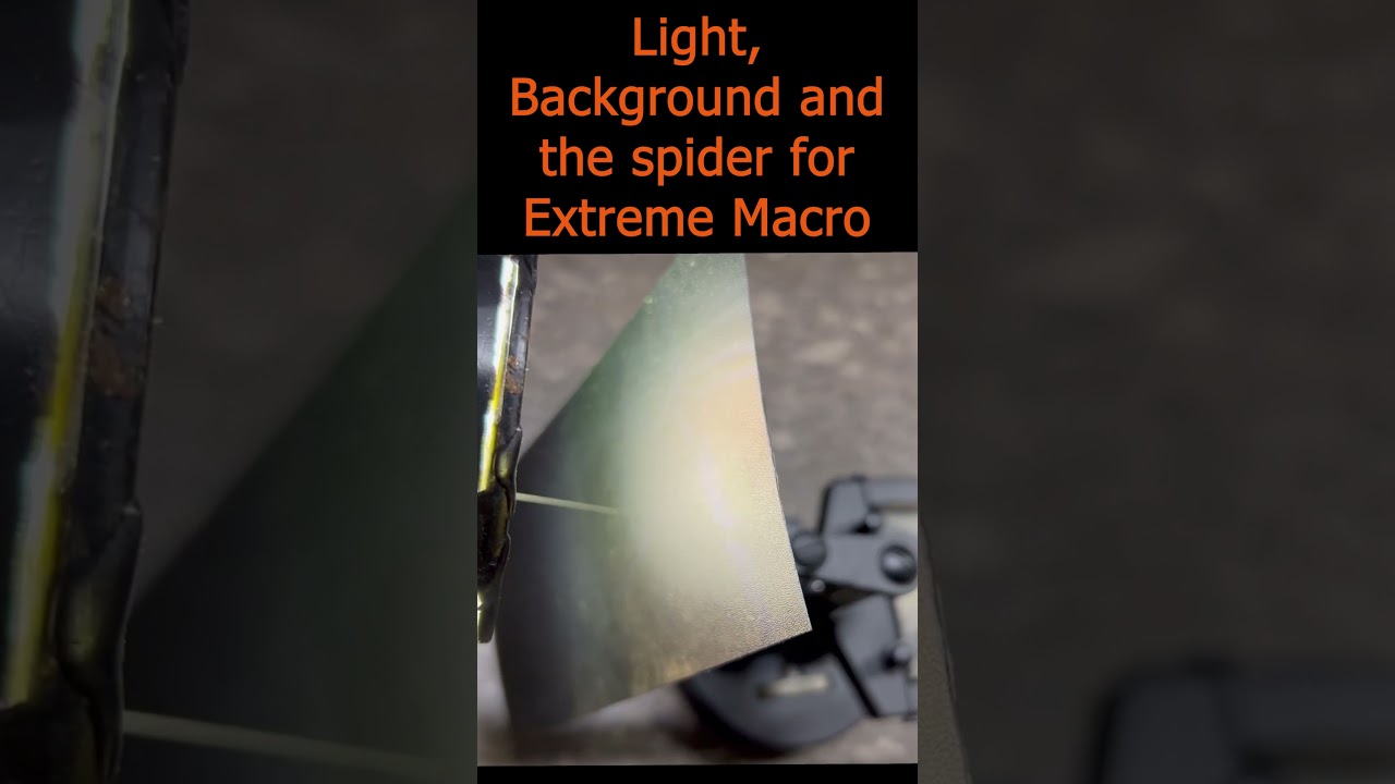 Light, Background and the spider for Extreme Macro  