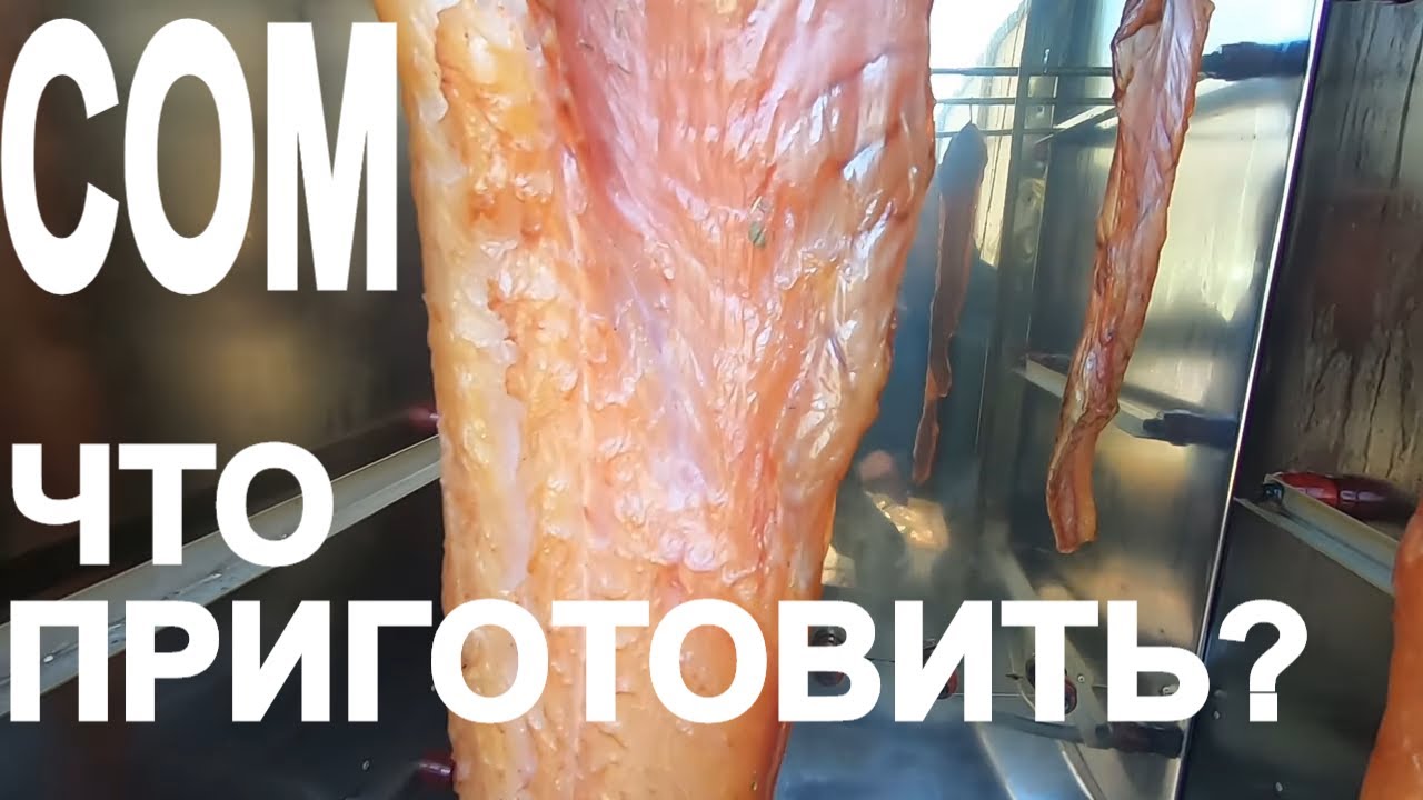 🔴Рыба Сом! Что  можно приготовить? Холодное копчение Сома.
