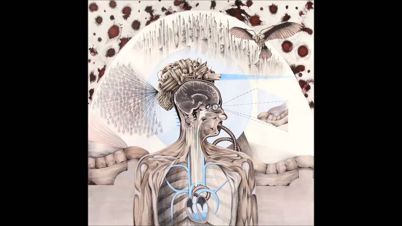 Dan Wallace - What I Know