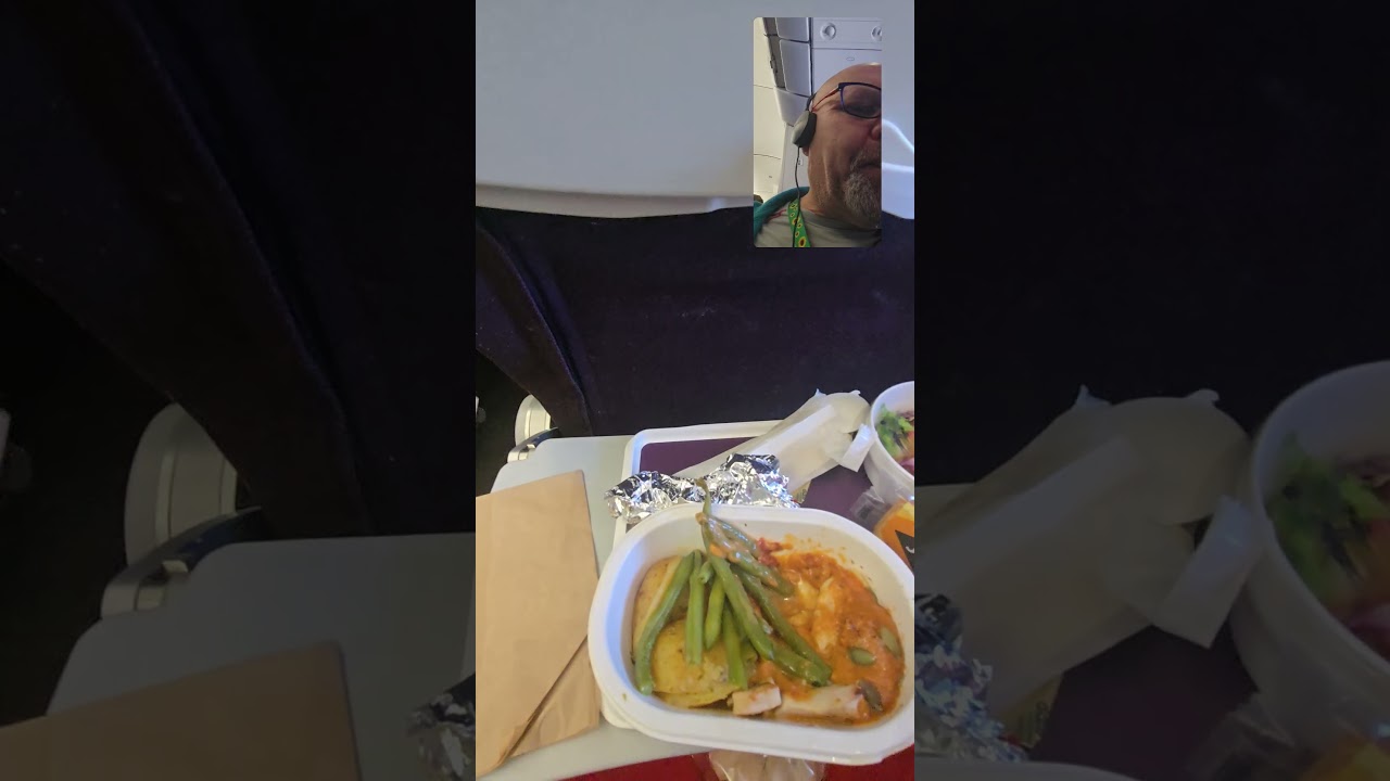 Creamy Chicken, Green Beans & Potatos on our Virgin flight to Florida USA 