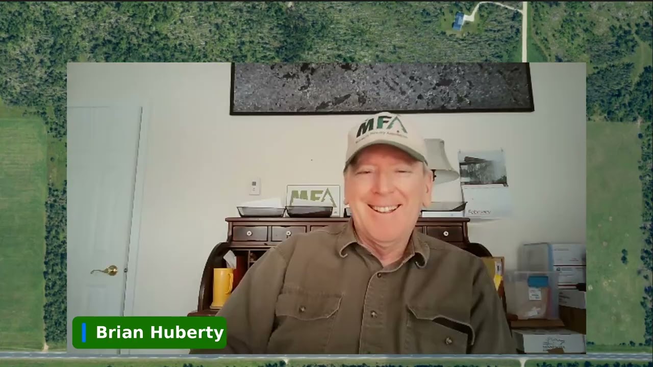 Bemidji Blowdown Webinar | Feb 9, 2026