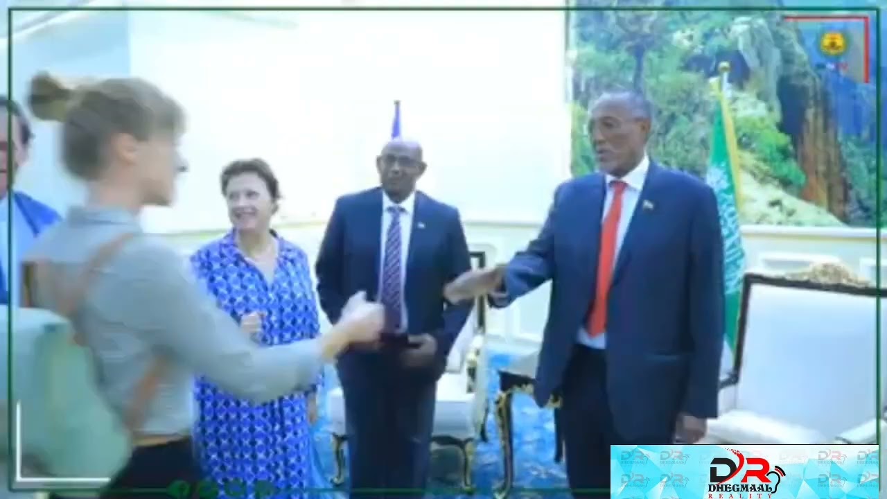 madaxweynaha jsl ayaa qabilay wafti ka socda dalka France