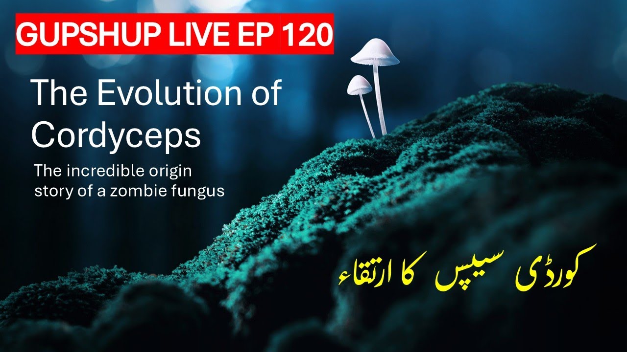 GUPSHUP LIVE EP 120 | The Evolution of Cordyceps