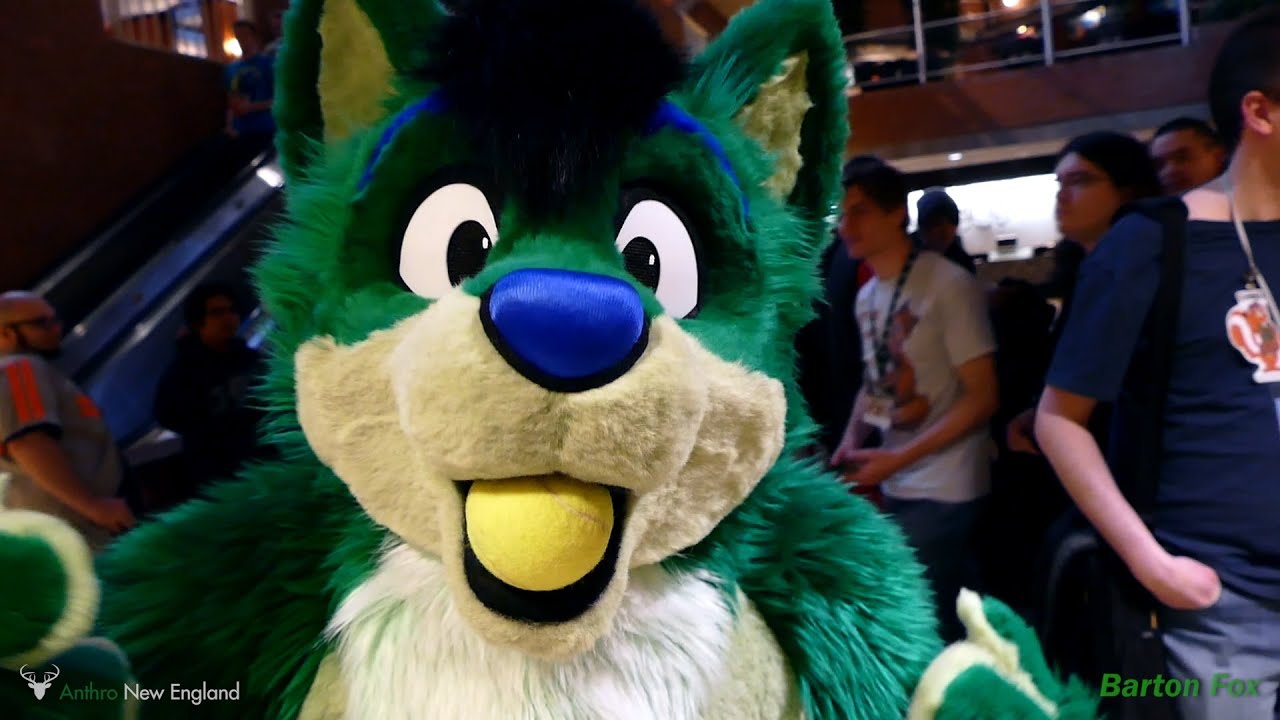 Anthro New England 2016 - Random Clips