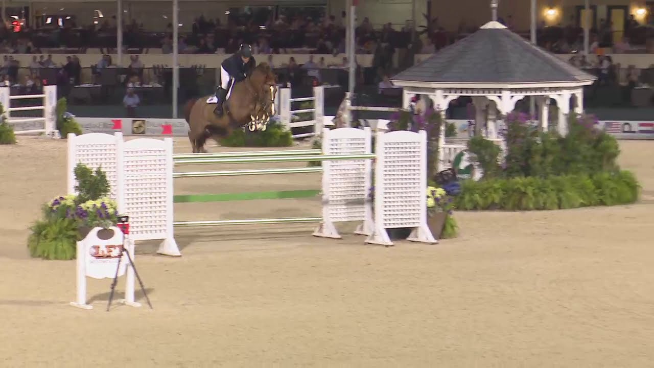 $401,000 FEI CSI 5* Douglas Elliman Real Estate Grand Prix - first round Garant