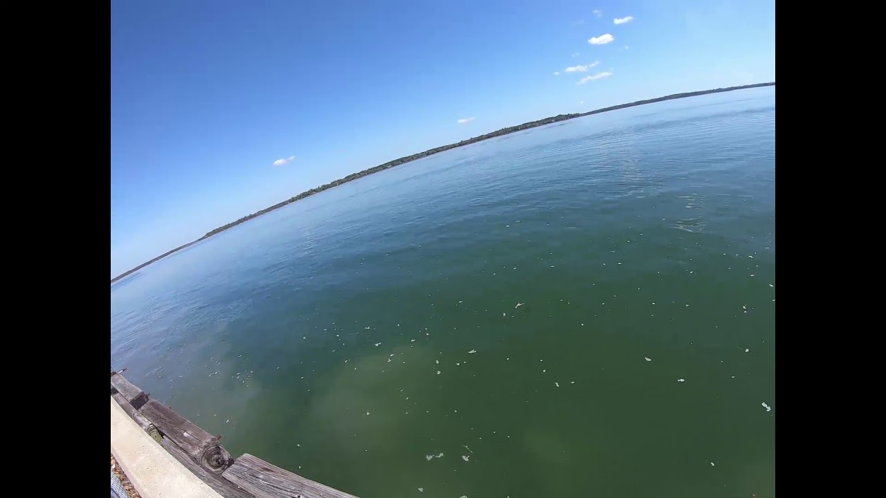 Fishing On, & Around Parris Island SC. Weekly Fishing Recon/Routine