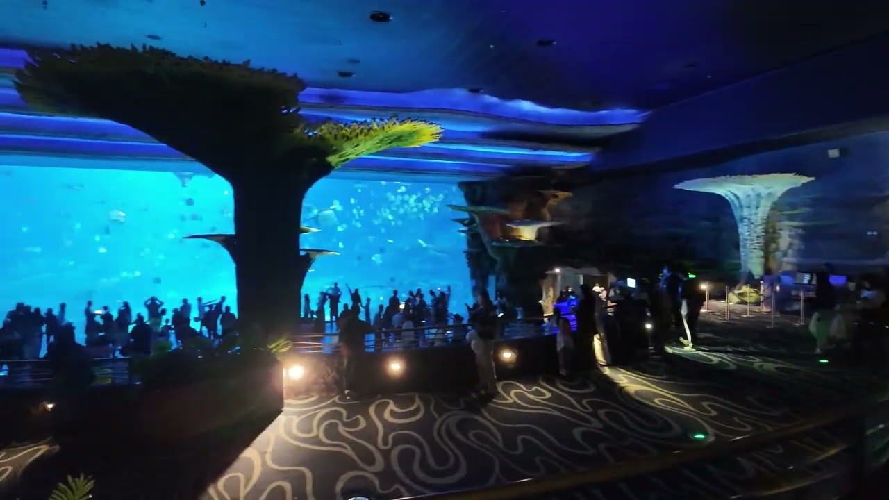 珠海長隆海洋王國3