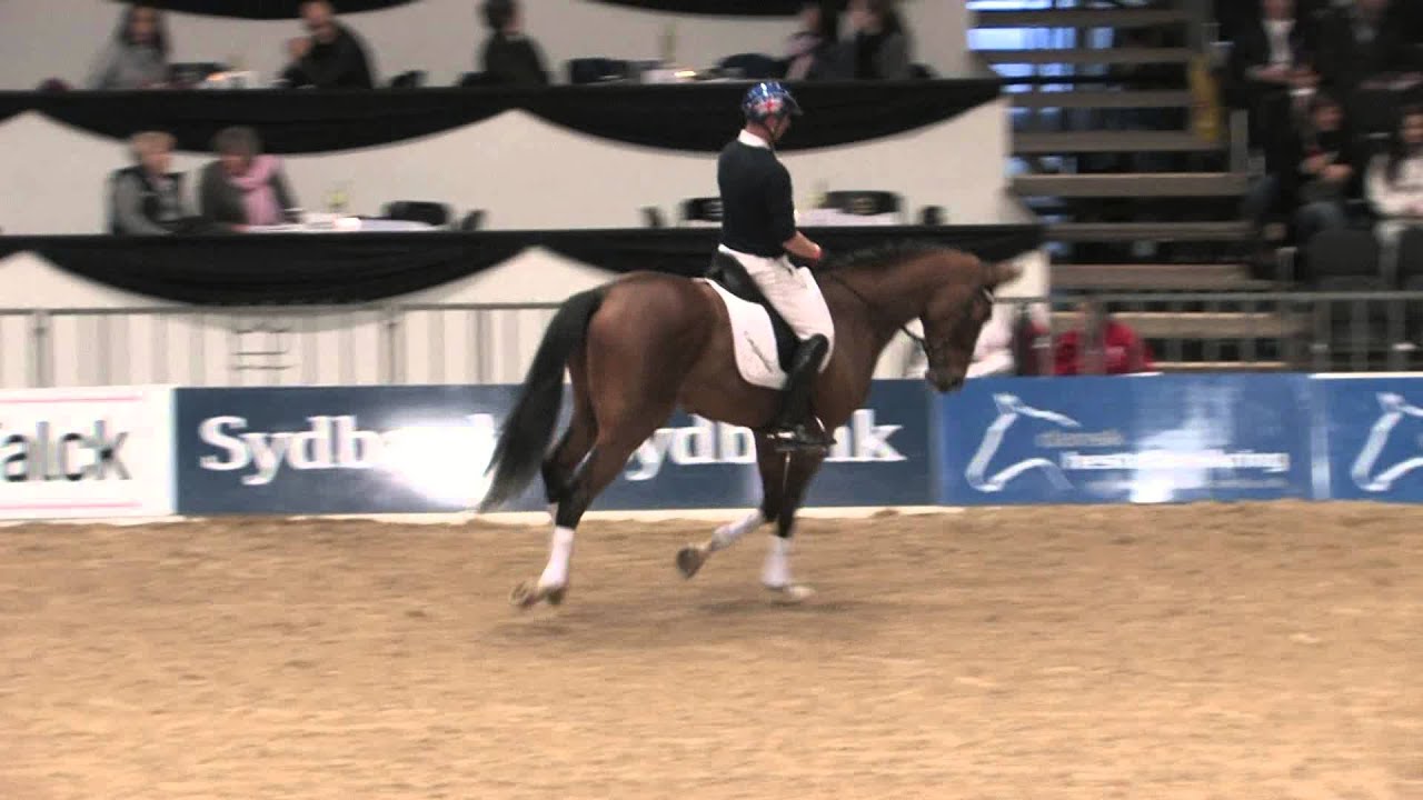 Danish Warmblood Young Horse Championship 2014 - Carl Hester testing Elmegårdens Rivaldi