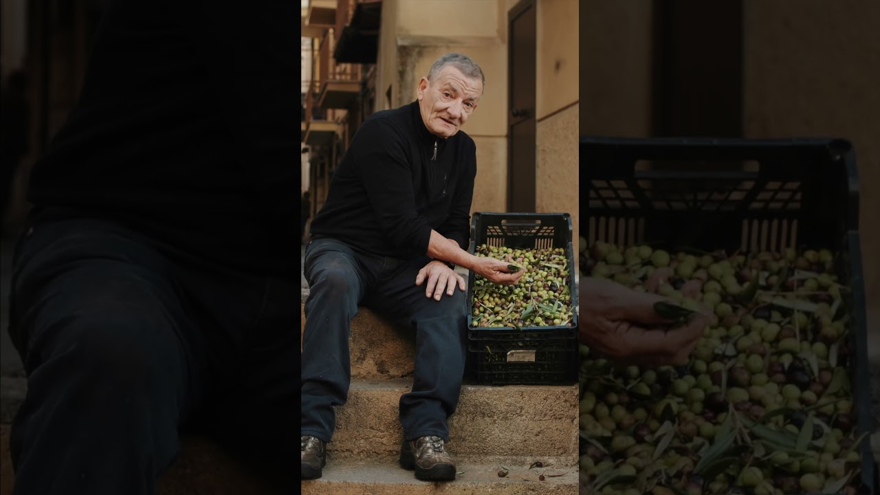 Festa dell'Olio del Parco - Altofonte - 01 dicembre 2024 - Spot