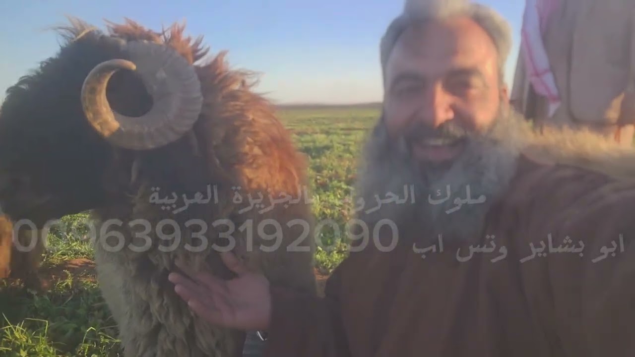 تبارك الله أحسن خلقه نوادر وفواخر ومزايين تبارك الرحمن ربي يبارك لكم أحبتي الكرام متابعيني ومشتركين 