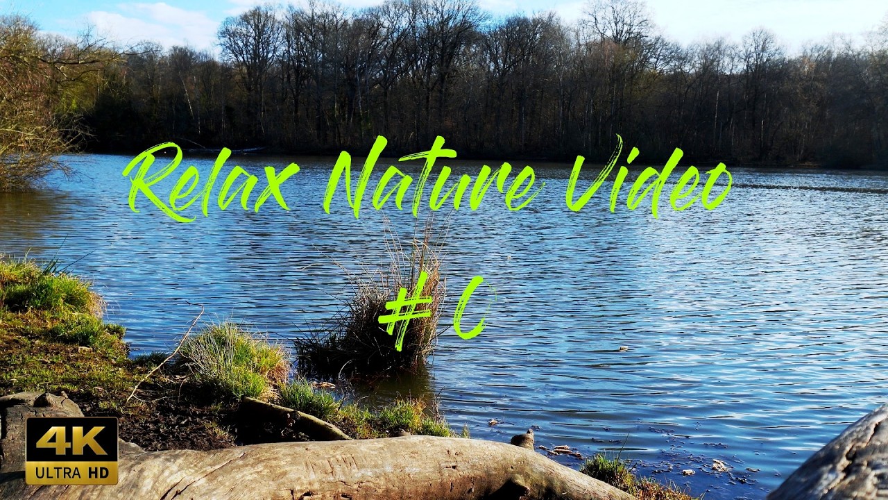 SONS DE NATURE RELAXANTS (MULTI PLAN) #0