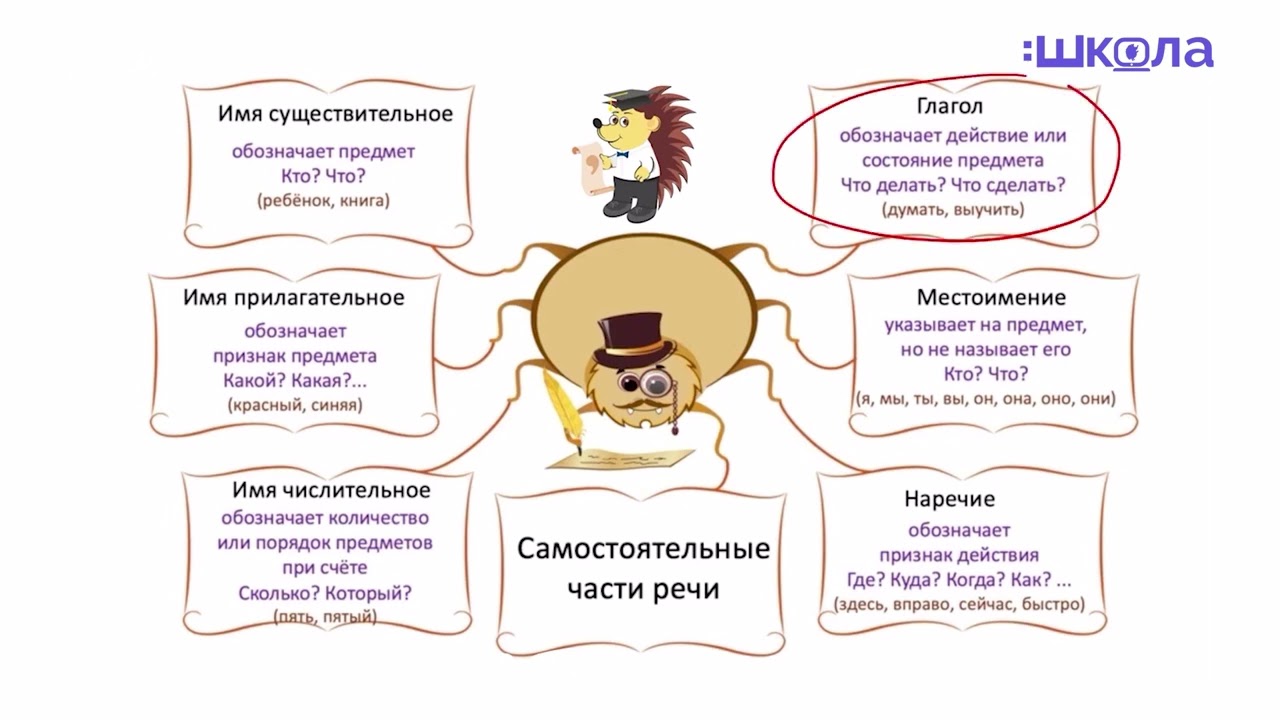 Морфология