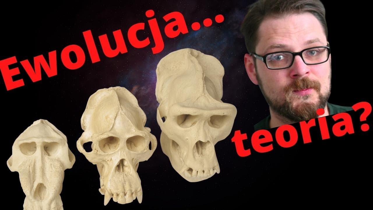 Ewolucja! Cóż to takiego i dlaczego teoria ewolucji jest ekstra!