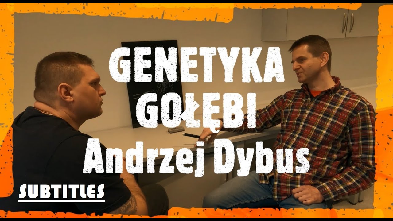 ГЕНЕТИКА ГОЛУБЕЙ - Анджей Дибус: заводчик и специалист в области генетических исследований. Родак.