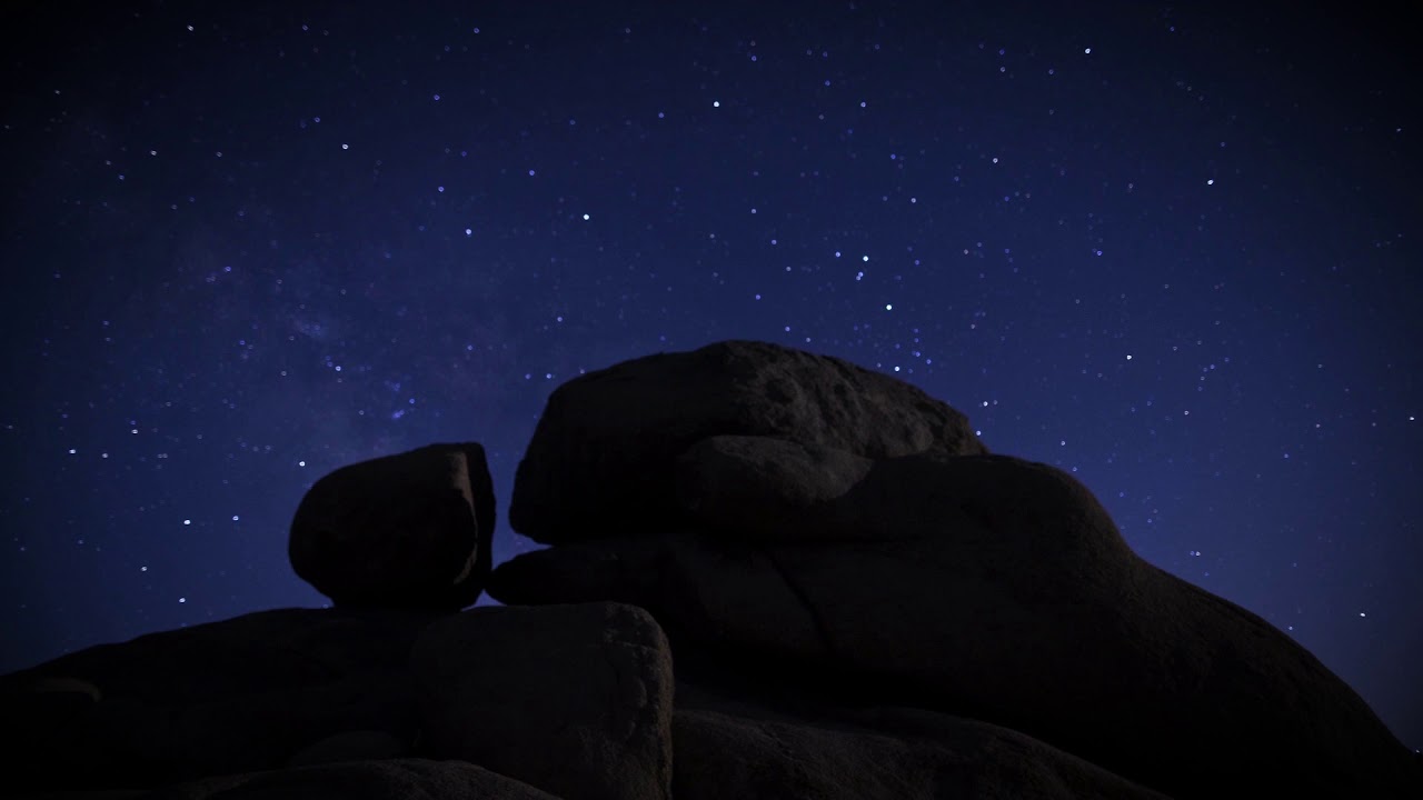 קליפ פתיחה לשנת ה40 לאלון מורה
