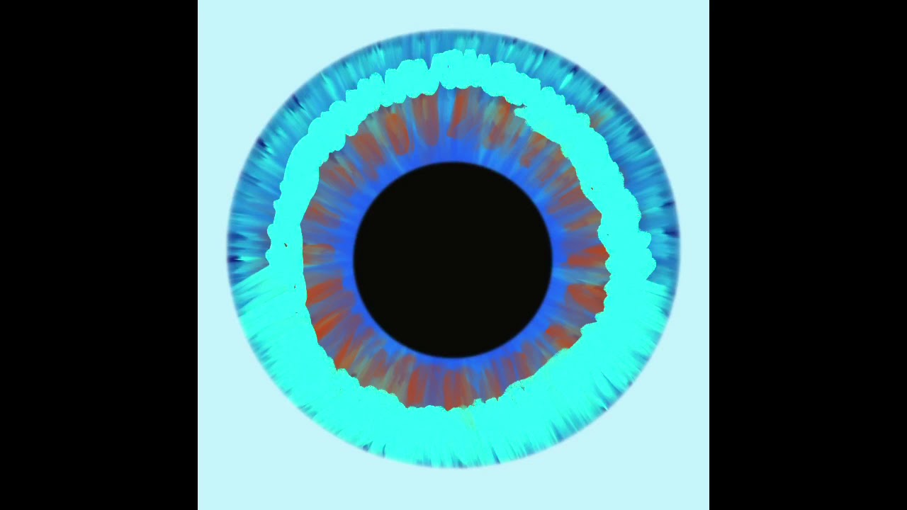 I Drew An Iris