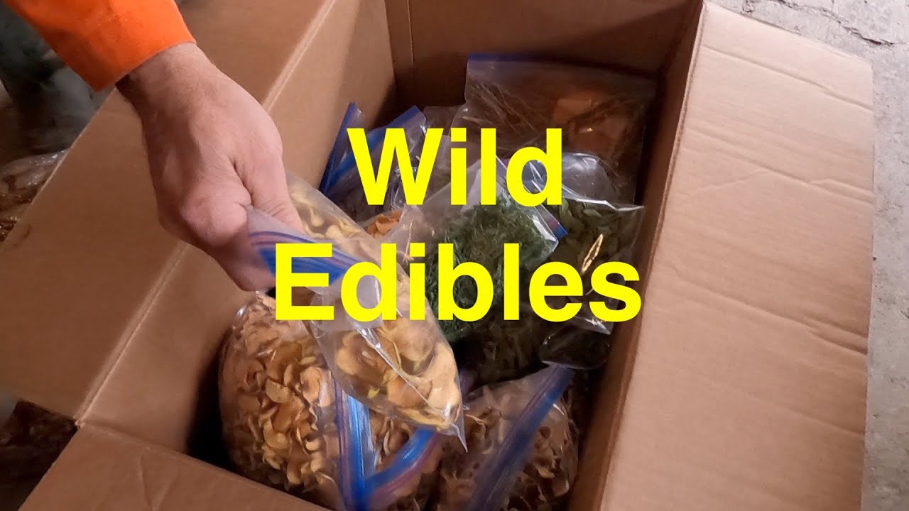 Preserved Wild Edibles of Newfoundland (With The Ultimate Prepping Homesteaders)