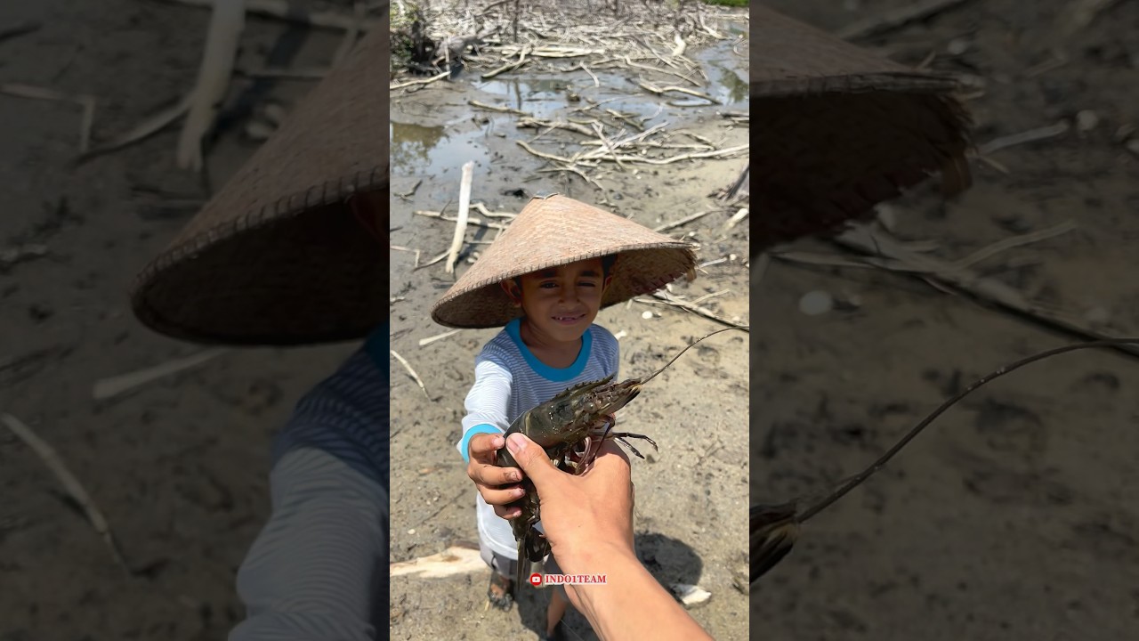 Kuras tambak yang banyak banget pepohonannya dapat lobster 🤤