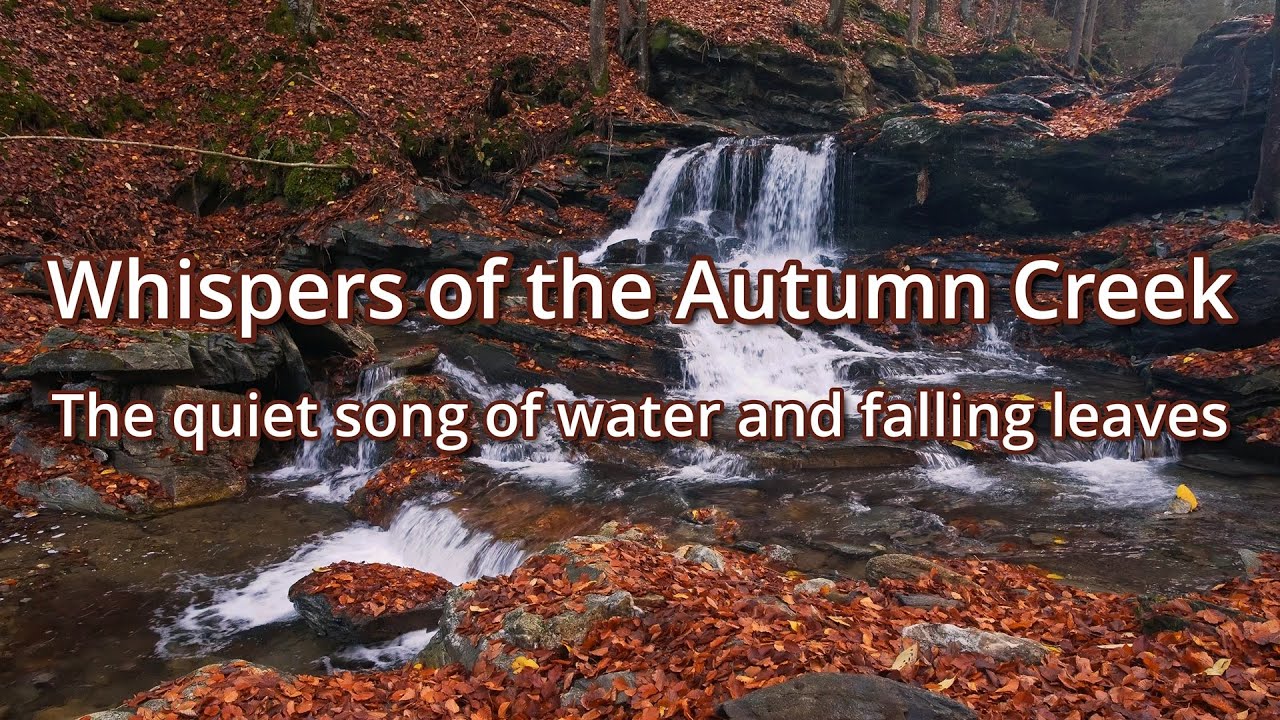 Whispers of the Autumn Creek | Jeseníky, Czechia – Waterfall & Cascades Ambience (4K)