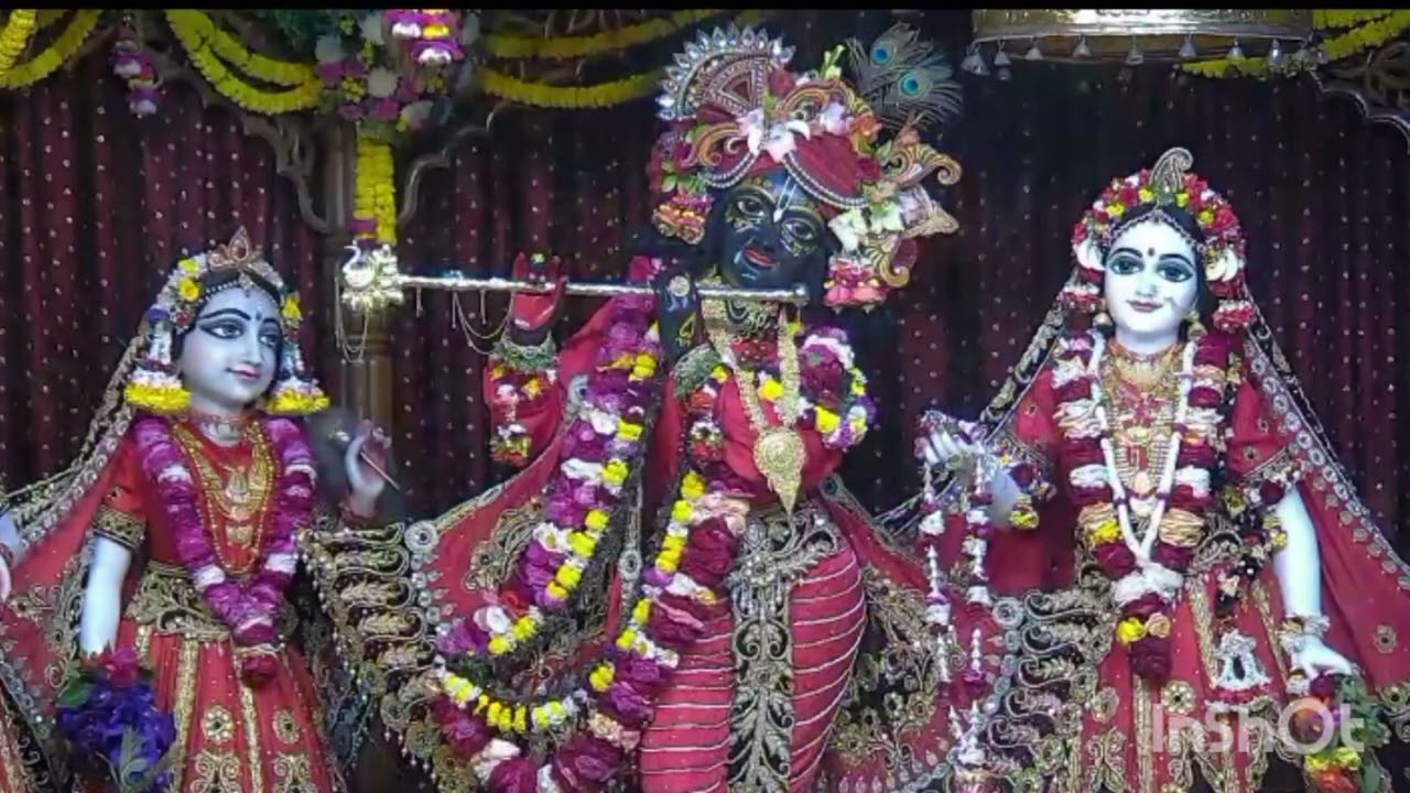ইন্ডিয়া মায়াপুরের আরতি সংকীর্তন ইসকন মন্দিরের ভগবান দর্শন ভিডিও 