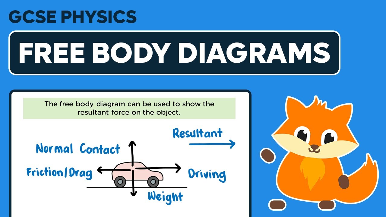 Free Body Diagrams - GCSE Physics