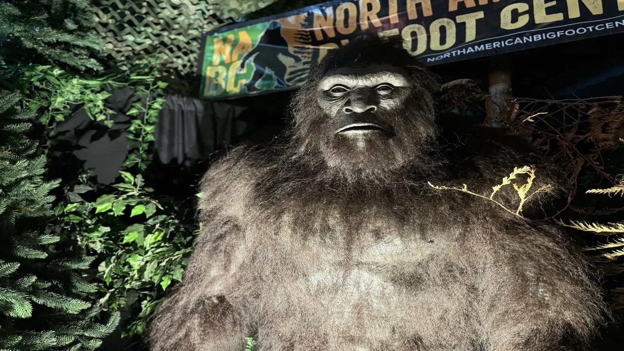 In Cautarea lui Bigfoot ??