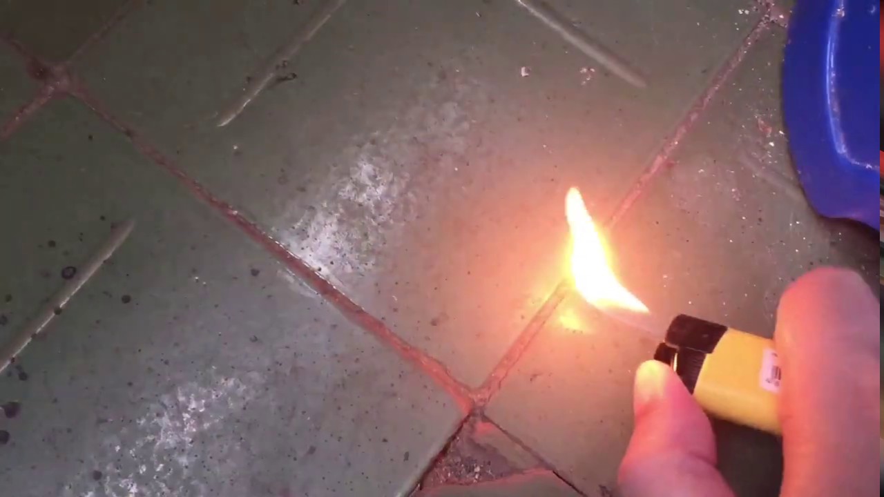 Клещи после СИМПАРИКА