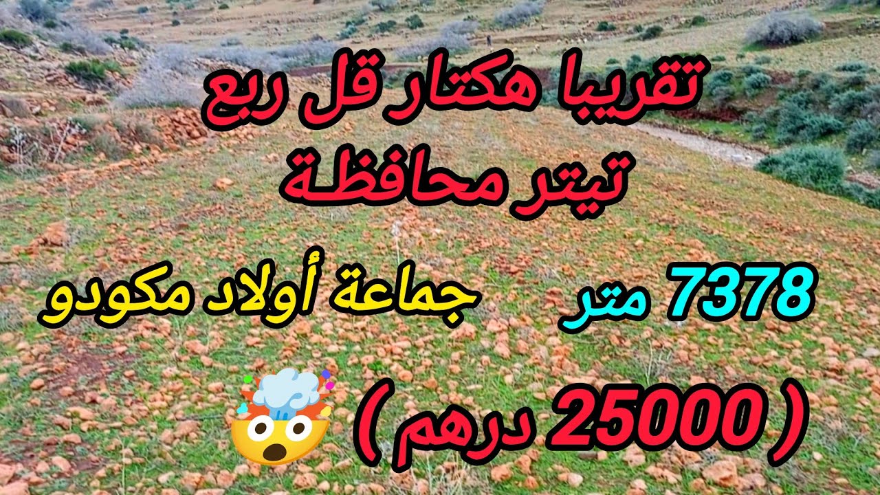 2026-2-11 : تقريبا هكتار قل ربع تيتر محافظة ، جماعة أولاد مكودو بثمن ( 25000 درهم 🤯) : ☎️ 0652902061