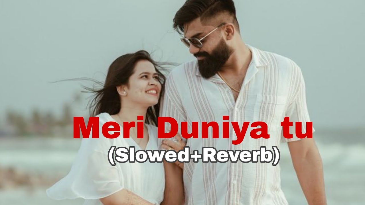 मेरी दुनिया तू 💗 | Hindi Love Song 2025"Hindi Lofi Song