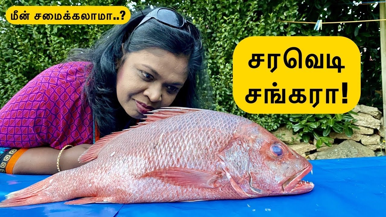 🐠மண்சட்டி மீன் குழம்பு/இரவு 6 மணி முதல் 10 மணிவரை my evening routine/பூனையோடு பேசலாம்