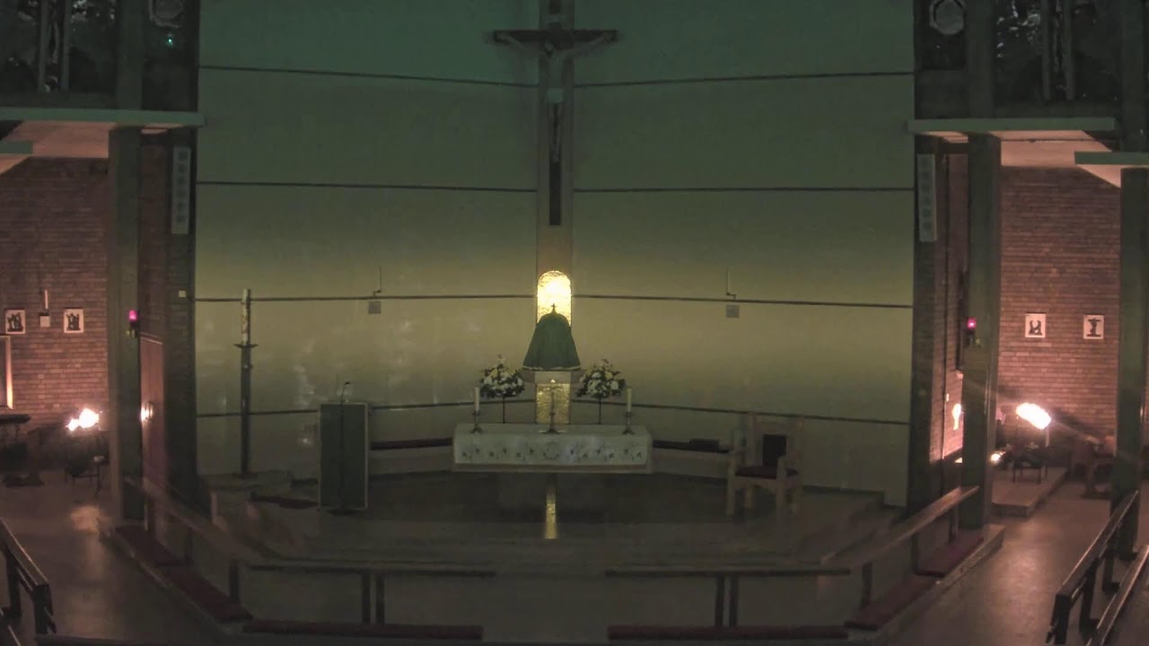 Vigil Mass (7.2.2026) | St Thomas More, Sheldon
