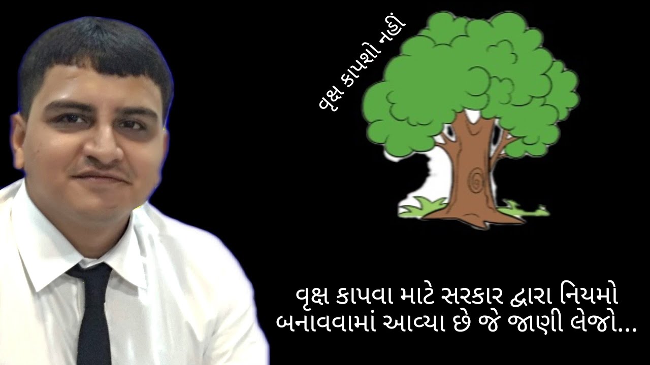 EP- 55 Tree ( TREE )