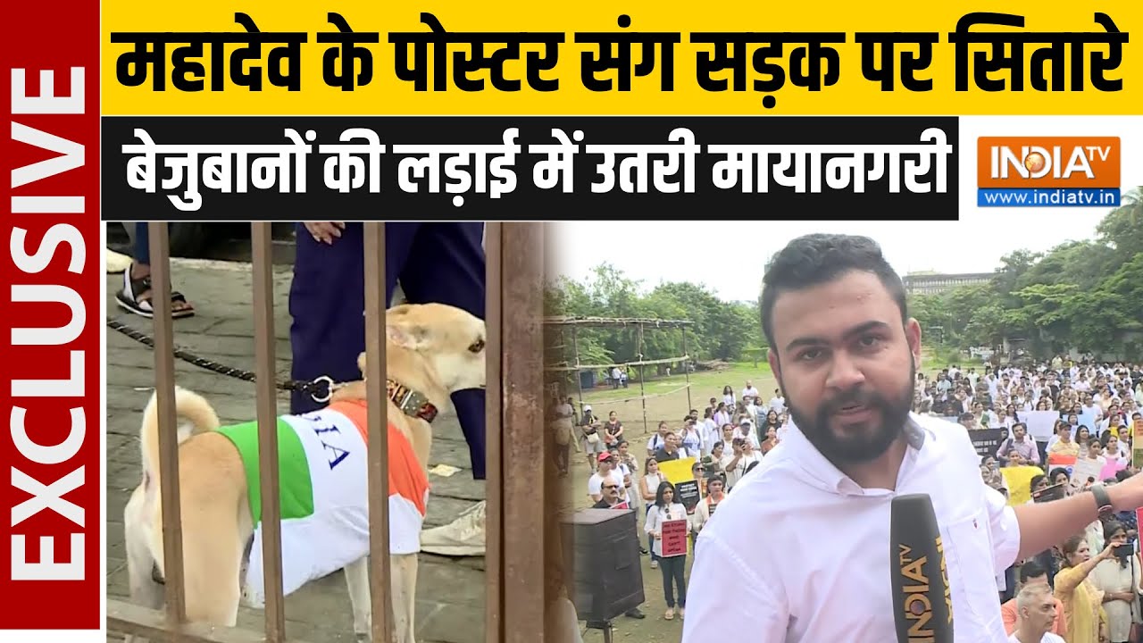 Mumbai Dog Lover's Protest: दिल्ली के बाद मुंबई में भी गरजा पशु प्रेमियों का गुस्सा | Stray Dogs