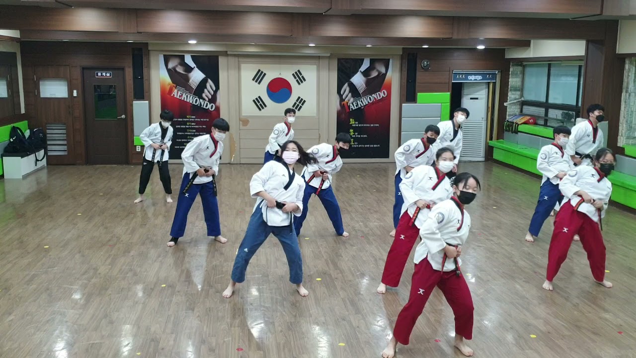 보성태권도 8시부 선수단부 태권체조 (똥밟았네)