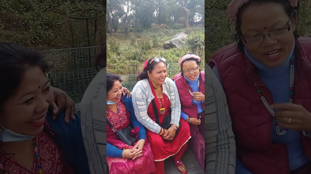घाशेय ओर्गनिक गीत।।