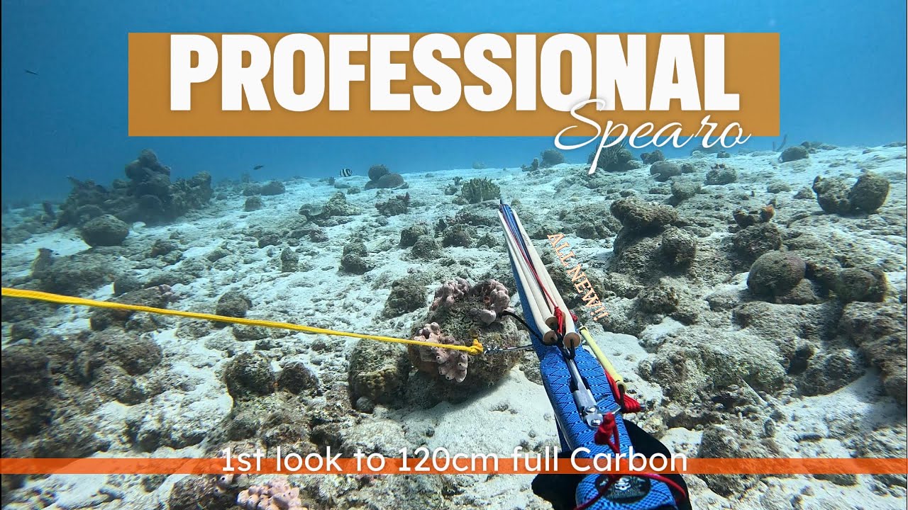Professional Spearo shows how to perfectly use a 120cm full Carbon Speargun [4K60]