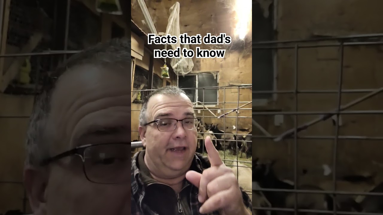 dad facts #dad #wisdom #uselessfacts #family #fun #impress