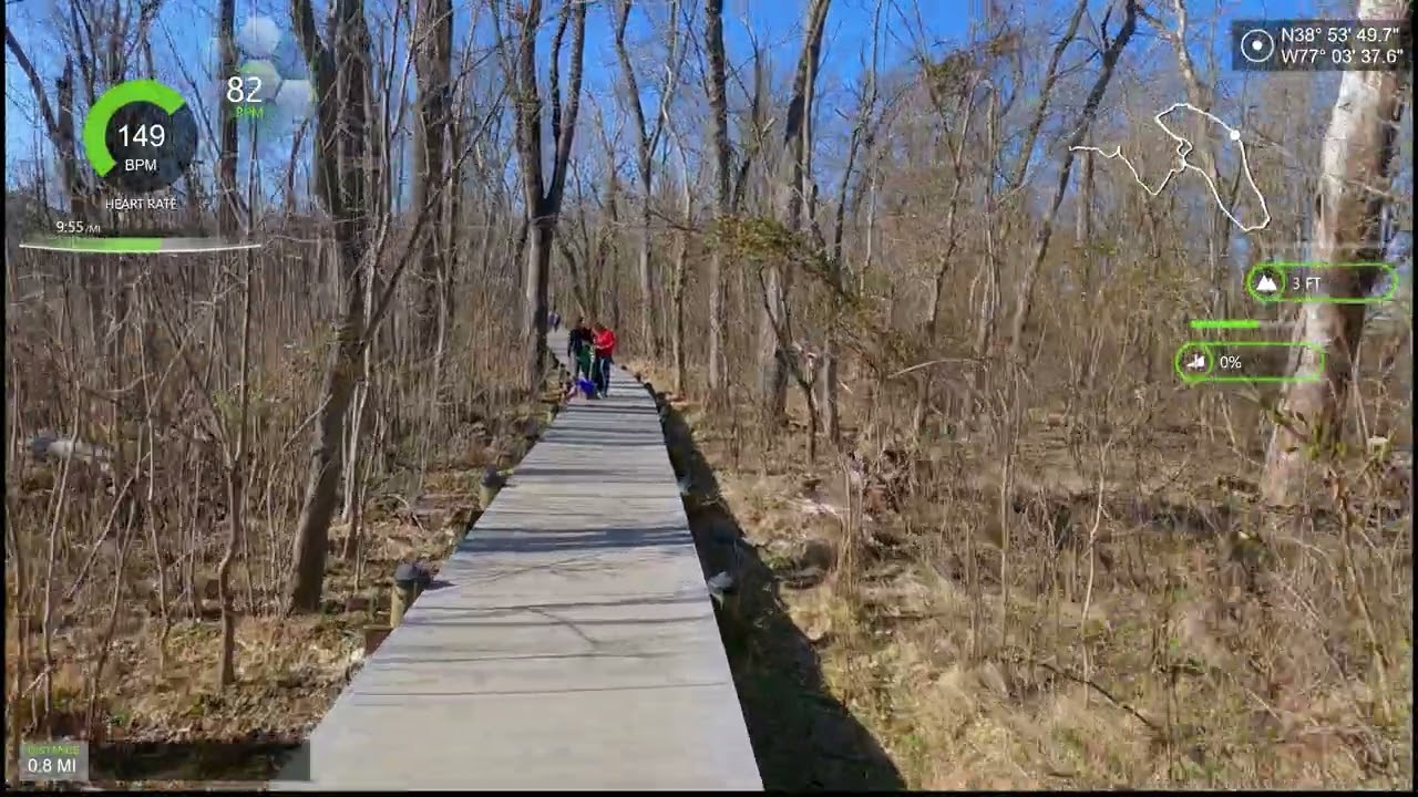 Theodore Roosevelt Island DC | Half Marathon Base Training | Washington DC Virtual Run [084]