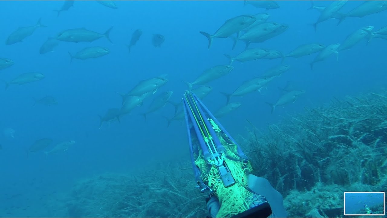 Neptunus Moments